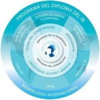 Gráfico 1: modelo curricular del Programa de Diploma